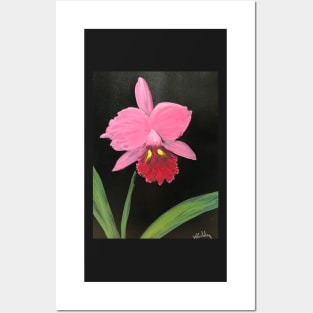 Pink Orchidia Posters and Art